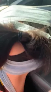 公车上玩两个处